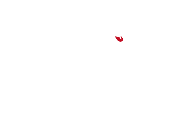 ブレインテックゴースト